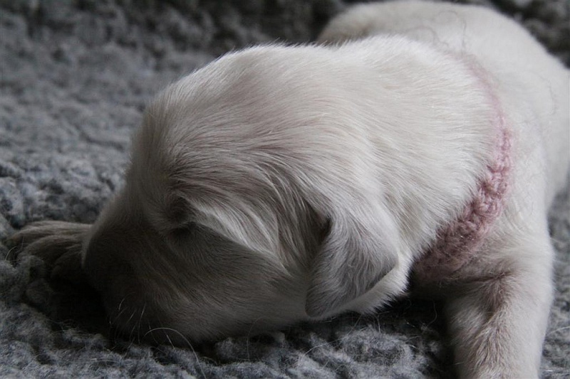 Dit is de laatste foto